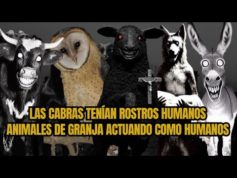 Animales de granja actuando como humanos. El burro en la carretera.