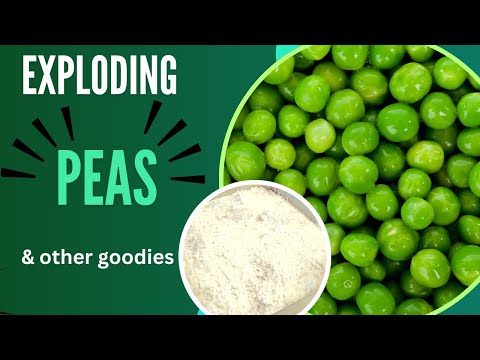 Exploding Peas and Other Goodies 🫛