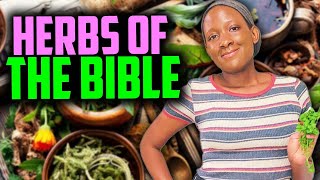 Herbalism is Biblical! Herbs Found in the Bible for Health & Wellness