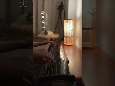 Guqin 古琴《醉梦前尘》| 风雨前尘傲视苍穹 轻抚陈情亦从容云深不知处#古琴#guqinmusic#shorts | Chinese Traditional Music “Guqin”|海洋洋古琴