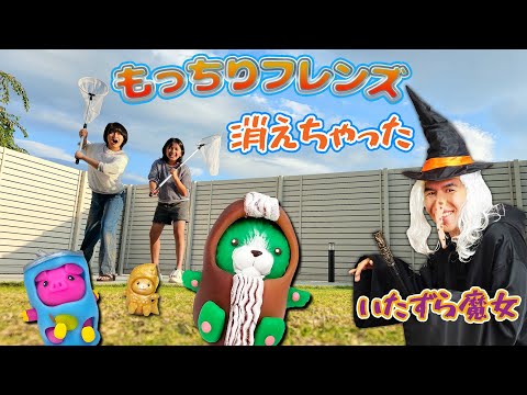 もっちりフレンズが消えちゃった😱どうすれば見つかる？🤔魔女のいたずら🧙‍♀️寸劇himawari-CH