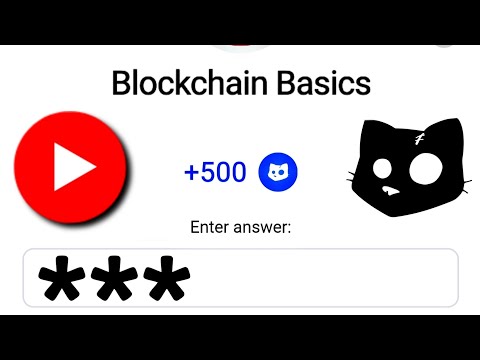 Blockchain Basics Cats YouTube Video Code Today 15 December | Cats YouTube Video Code