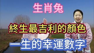 生肖屬相兔！屬兔人終身最吉利的顏色？生肖兔一生的幸運數字？本期視頻說生肖屬兔人！#生肖 #運勢 #財運 #顏色 #風水