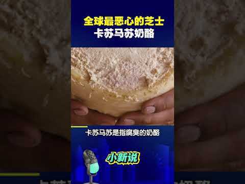 全球最恶心的Cheese你敢吃吗？#shorts #卡苏马苏奶酪