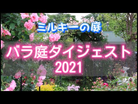 バラ庭ダイジェスト2021