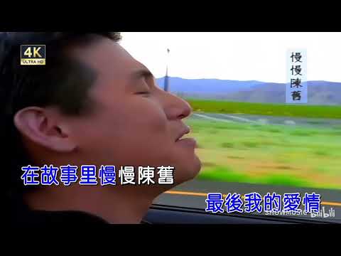 [ KTV ] 一千个伤心的理由 Một Ngàn Lý Do Đau Lòng - 张学友 Trương Học Hữu Karaoke