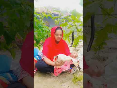 আজ বুঝেছি টাকার কাছে ভালোবাসা ব্যর্থ #trending #funny #viralvideo #nishebd