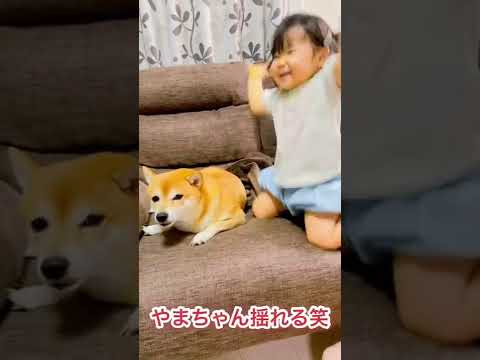 対照的な娘と愛犬（1歳8ヶ月）＃shorts