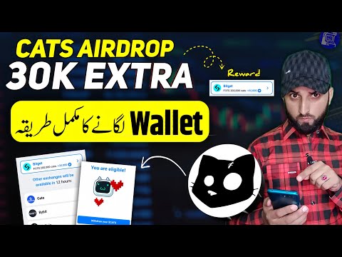 How To Connect Cats Bitget Wallet | Cats connect walleton bitget | Cats Airdrop |