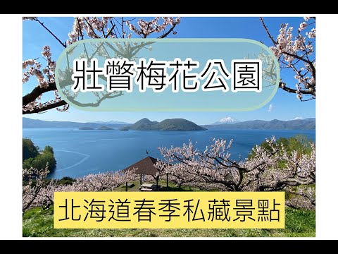 +北海道旅遊+賞櫻花之後!! |春天私藏熱門景點壯瞥梅花公園 | 洞爺湖周邊景點