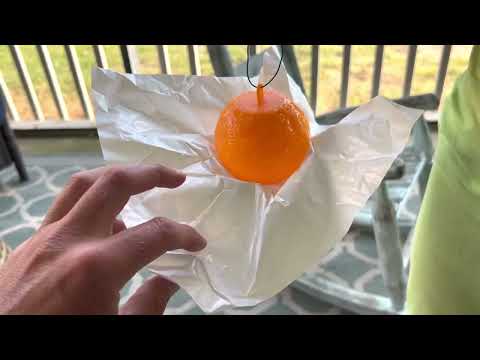 LightsMax Amazon fly sticky trap for backyard