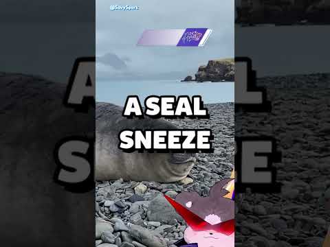 This is what a Sneal's sneeze looks like