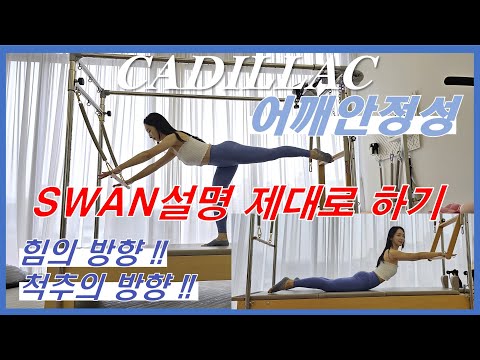 ■ 캐딜락 시퀀스 | SWAN 설명 |어깨안정성| 척추 방향 | 힘의 방향