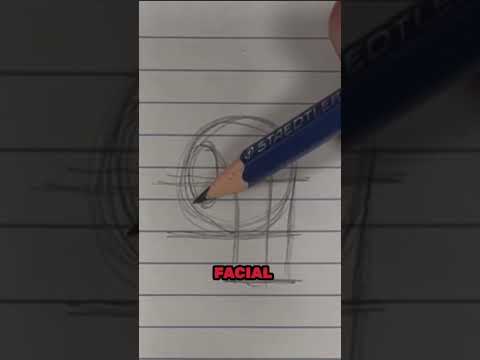 How To Draw Face | VT_LIVE #drawing #tutorial