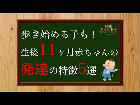 【生後11ヶ月②】生後11ヶ月の赤ちゃんの発達の特徴5選👶✨