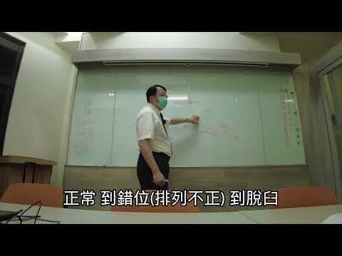 徒手醫學概論: 肌貼索帶療法先導性課程