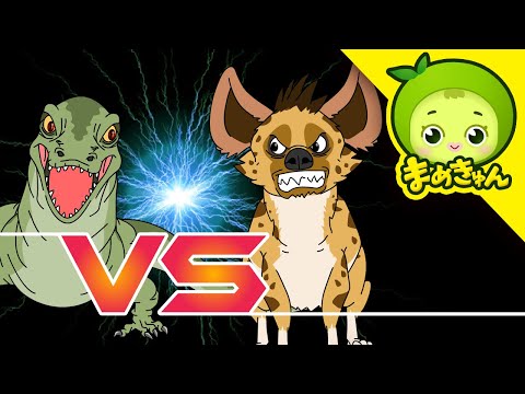 コモドオオトカゲ vs ハイエナ | 動物バトル | まめきゅん MAMEKYUNN