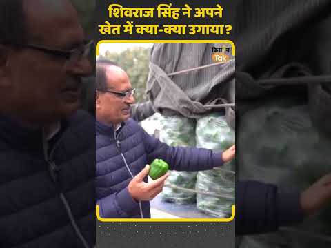 Shivraj Singh Chouhan ने बताया कि उन्होंने अपने खेत में क्या-क्या उगाया है, देखें ये वीडियो