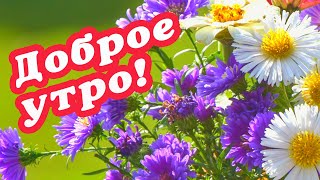 🌞 ДОБРОГО УТРА / ДОБРОЕ УТРО / С ДОБРЫМ УТРОМ / ДОБРОГО УТРА ЛЮБИМОЙ / ДОБРОЕ УТРО КАРТИНКИ