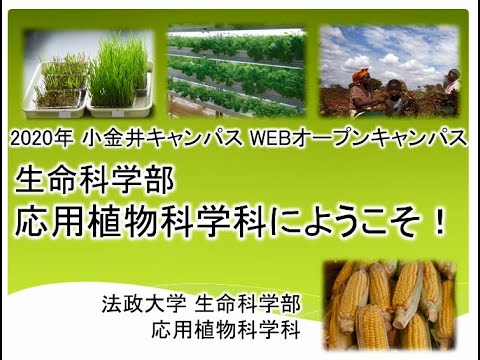 生命科学部応用植物科学科　濱本宏先生　学科説明