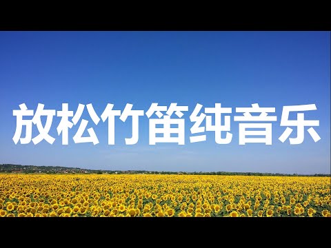 【中国风】200分钟悦耳动听笛声，入耳不由心神一静，洗尽尘俗| Beautiful Chinese bamboo flute music| 古典音樂 古箏音樂 笛子音樂 放鬆音樂 輕音樂 平靜的音樂