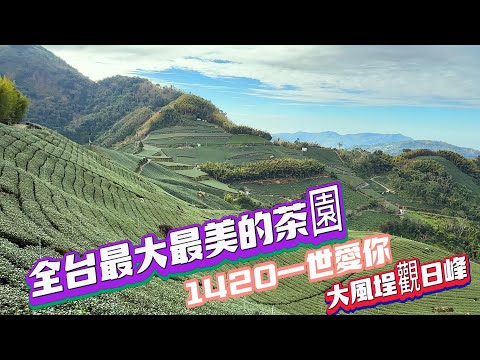 [1420一世愛你]大風埕觀日峰:全台最大最美麗的茶園.群山環繞,視野遼闊,