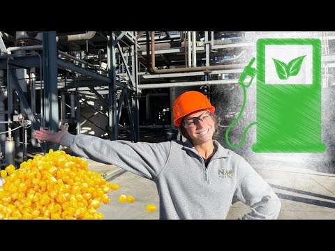 Why US Farmers Grow So Much Corn