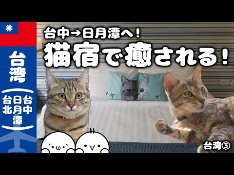 【台湾旅Vlog】台中から日月潭へ！猫ちゃんと景勝地に満たされる旅！／台湾③