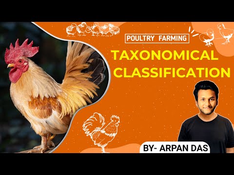 Scientific Classification of poultry l #poultry by ecohill agri l #poultryfarming #livestock