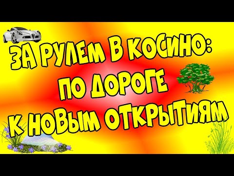 За 🚘Рулем в Косино: По Дороге к Новым Открытиям♻️ [Olga Pak]