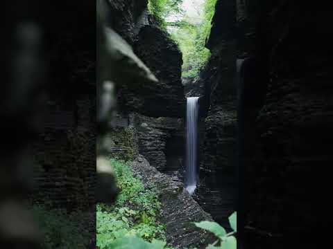 19 waterfalls in 1 mile: Watkins Glen, NY. #fall #nature #travel #ytshorts #shorts #shortsyoutube