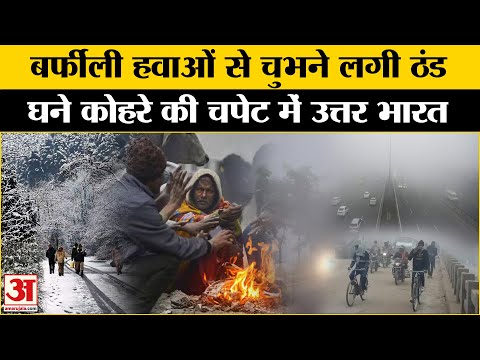 Weather Update: पहाड़ों पर शून्य से नीचे पारा, Fog और Cold Wave की चपेट में उत्तर भारत | Amar Ujala