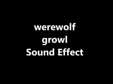 werewolf growl Sound Effect