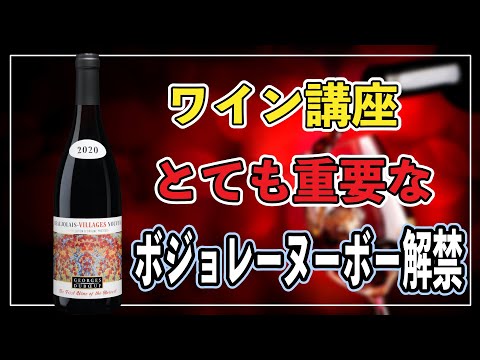 【ワイン講座】その年のワインが決まる、ボジョレーヌーボー解禁‼️