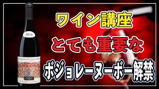 【ワイン講座】その年のワインが決まる、ボジョレーヌーボー解禁‼️