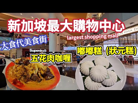 The largest shopping mall in SG ,pork belly curry rice, coconut paste rice cake,vivo city