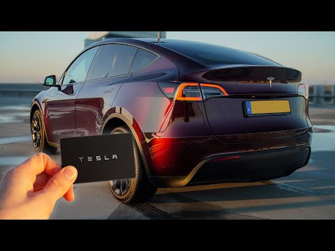 2023 Tesla Model Y Long Range (441hp) - Visual Review!