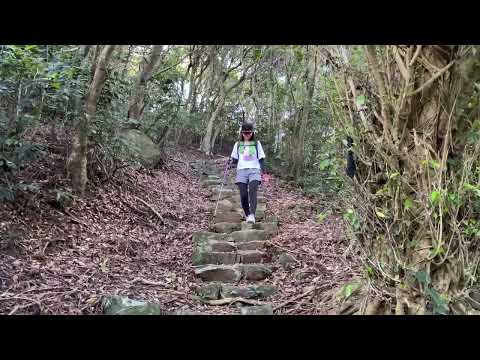 淡水悠然山中秘境🌸｜三空泉步道｜滬尾櫻花大道｜淡水｜cakethree三個蛋糕