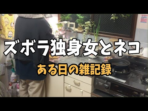 アラフォー独身女の雑記録　ズボラ料理と部屋掃除