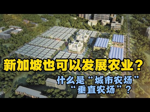 “垂直农场”给了小国新加披一次 “Urban Farming”的机会！