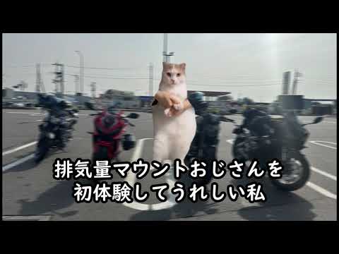 排気量マウントおじさん 猫meme