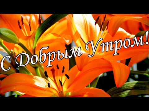 С ДОБРЫМ УТРОМ 11 Января!🌼Желаю Самого Доброго Солнечного Утра!🌼  Шикарная Музыкальная открытка 🌼