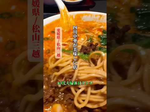 【40代夫婦休日ランチ】四川中華を堪能！濃厚担々麺、酢豚ランチに舌鼓！