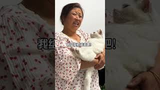 东北猫不会让话落地上……萌宠 老人与猫 真香老妈