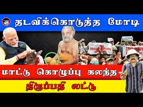 தடவி கொடுத்த மோடி! கொழுப்பு கலந்த திருப்பதி லட்டு | THUPPARIYUM SHAMBU