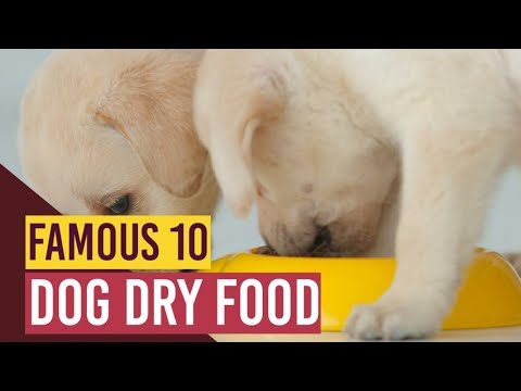 Adult Dog Diet |  कुत्ते को खाने में क्या दिया जाए जानिए इस वीडियो में #doginformation #doglover