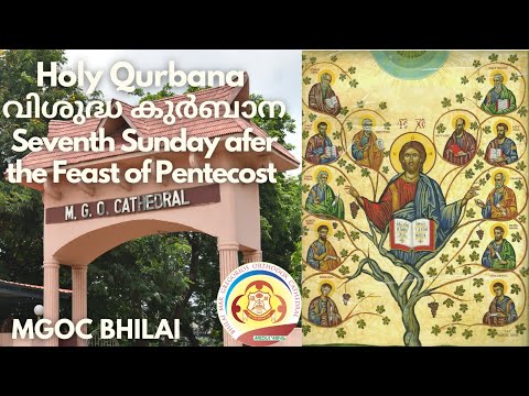 MGOC Bhilai - Morning Prayer & Holy Qurbana-06/07/2024 - Seventh Sunday after the Feast of Pentecost