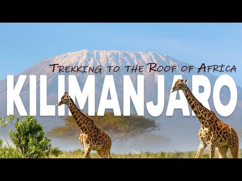 Trekking to the Roof of Africa: A Kilimanjaro Adventure