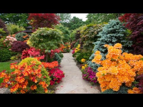 Top 80 Beautiful Flower Garden Decor Ideas Everybody Will Love