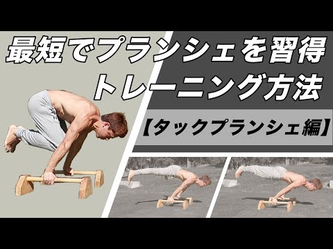 最速でプランシェができるようになるトレーニング方法！【タックプランシェ編】